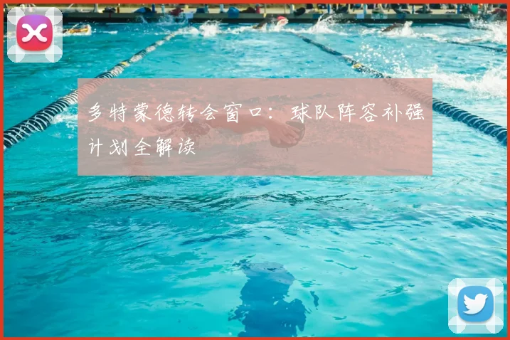多特蒙德转会窗口:球队阵容补强计划全解读