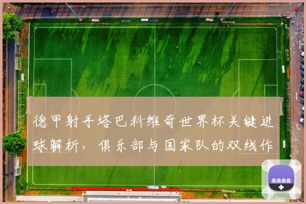 德甲射手塔巴科维奇世界杯关键进球解析,俱乐部与国家队的双线作战战术分析