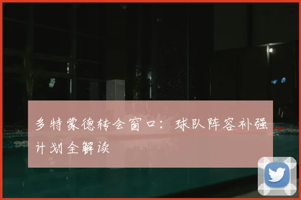 多特蒙德转会窗口:球队阵容补强计划全解读