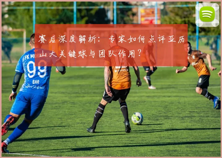 赛后深度解析:专家如何点评亚历山大关键球与团队作用?